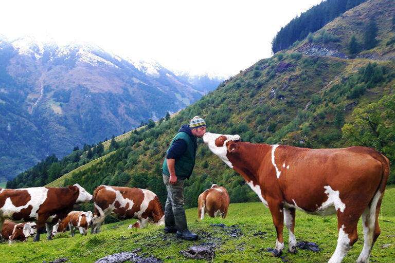 Das Gaferlgut - Ferien am Bio-Bauernhof