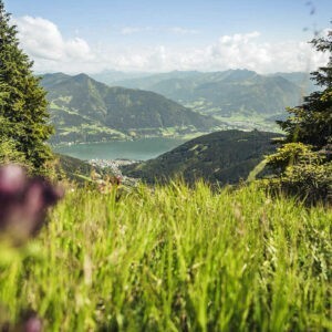 Das Gaferlgut - Ferien am Bio-Bauernhof - Die Region