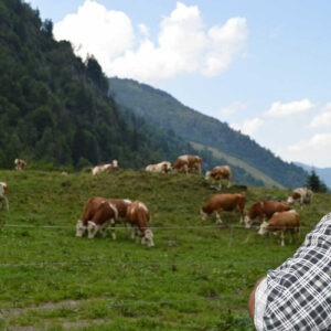 Das Gaferlgut - Ferien am Bio-Bauernhof - Der Hof